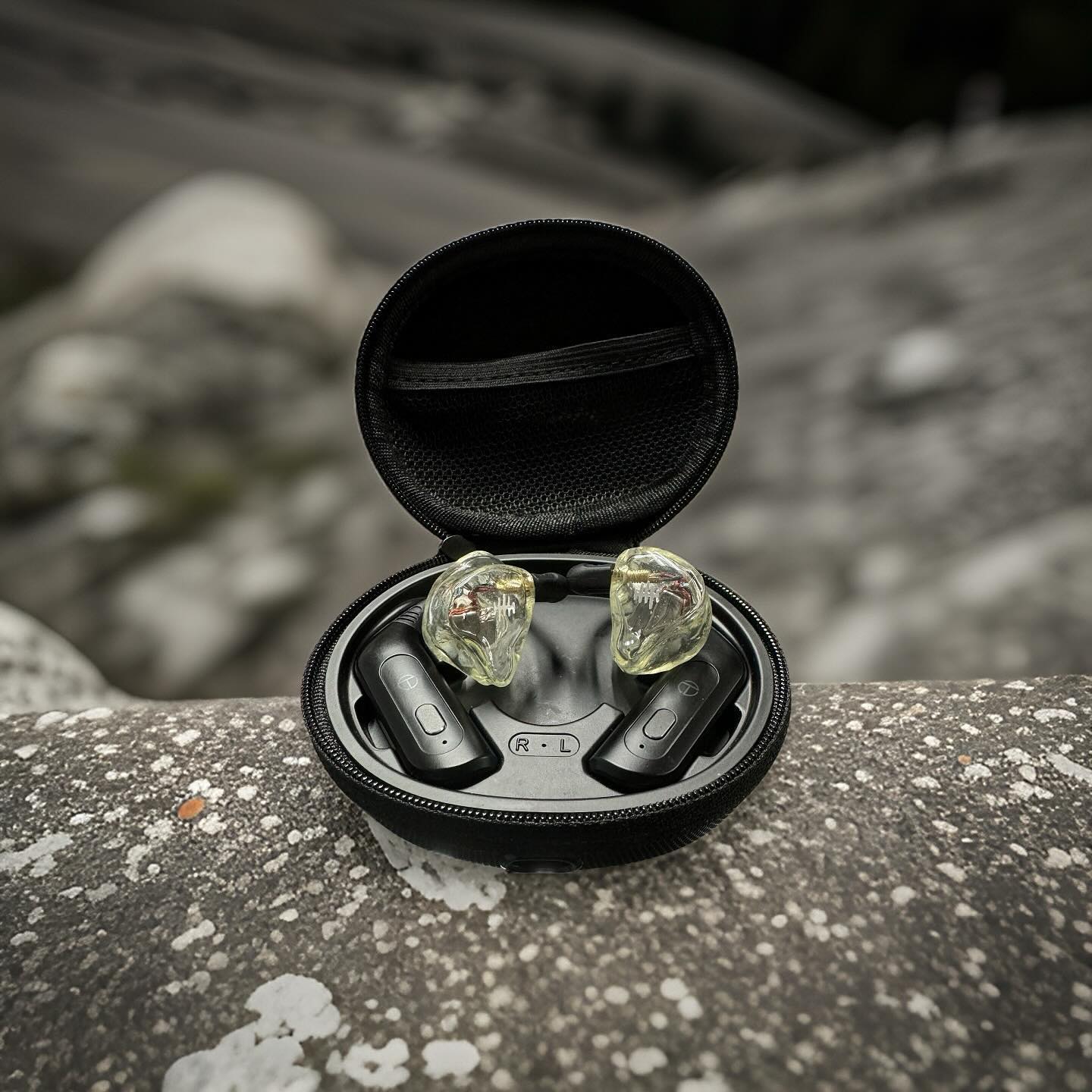 Detailed Sound at a Fair Price: What Makes the WAVS Dual-Driver IEM Stand Out?